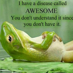 Meet your Posher, Tammy